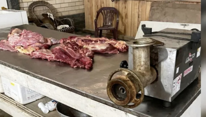  Operação Hefesto: Laudo confirma que carne apreendida era de cavalo