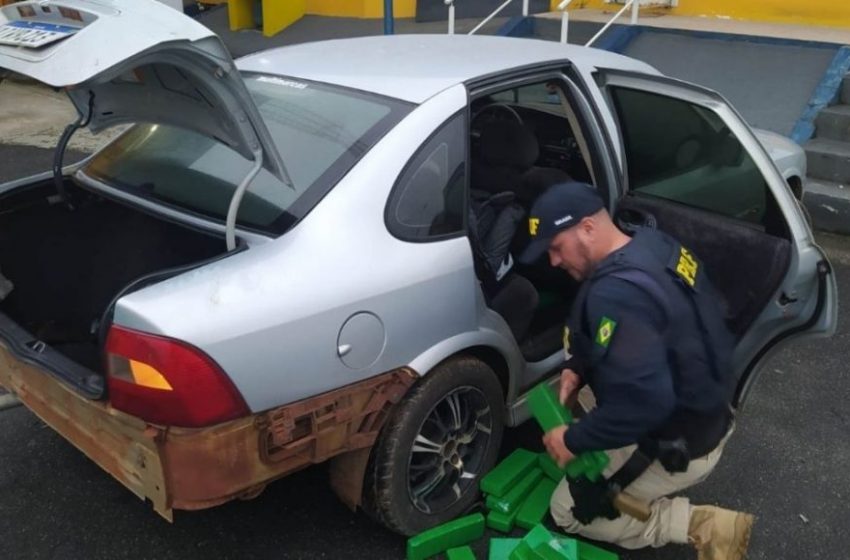  Criança de 3 anos é encontrada em carro com 250 quilos de maconha
