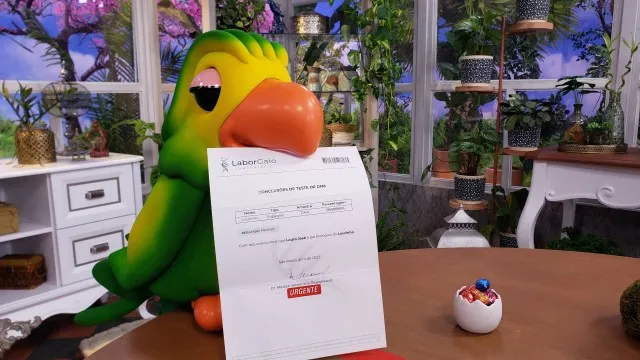  Chegada do filho do louro José agita o “Mais Você”