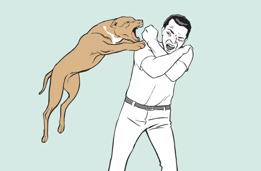  Idoso sofre ataque de Pitbull e fica ferido gravemente