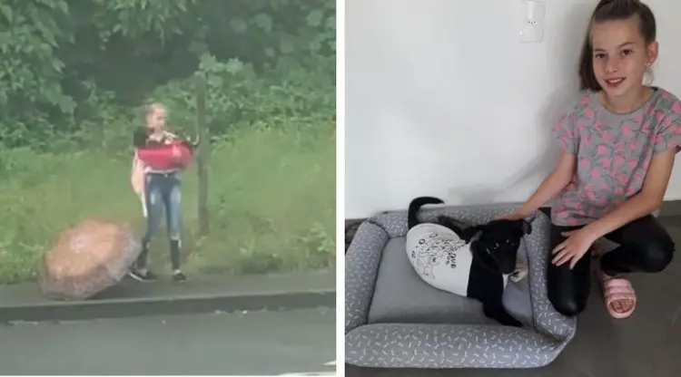  Menina enfrentou frio e chuva para salvar cachorrinha ferida