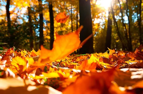  Conheça cinco destinos turísticos em Santa Catarina
