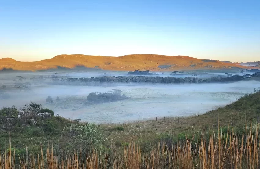  Serra de SC amanhece com mínima de 1,4ºC e geada nesta quarta-feira
