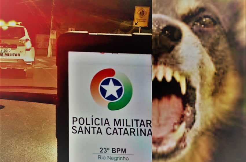  Ataque de cães deixa vítima muito machucada