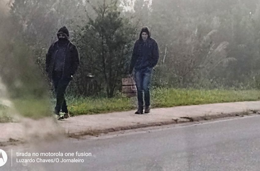  Frio deve voltar ao estado entre sexta e sábado