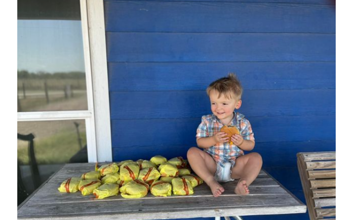  Menino de dois anos compra 31 hambúrgueres enquanto brincava no celular da mãe