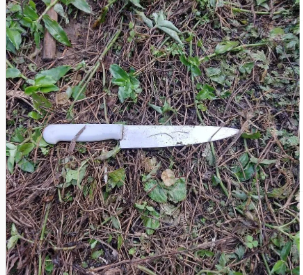  Preso homem que esfaqueou o irmão