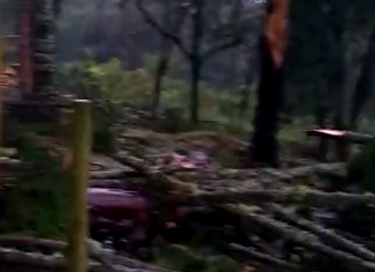  VÍDEOS:Temporal causa destruição em Bateias