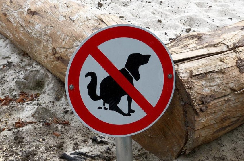  Cocô de cachorro no terreno do vizinho vira caso de polícia