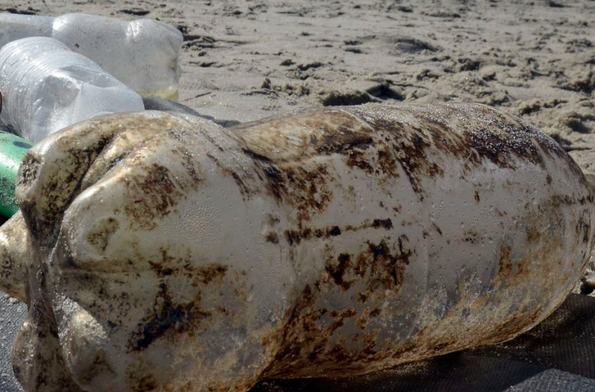  São Paulo recebe primeira edição da Bienal do Lixo