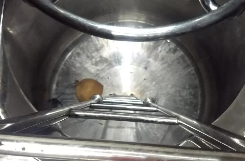  Homem tem parada cardiorrespiratória em tanque de cerveja e morre