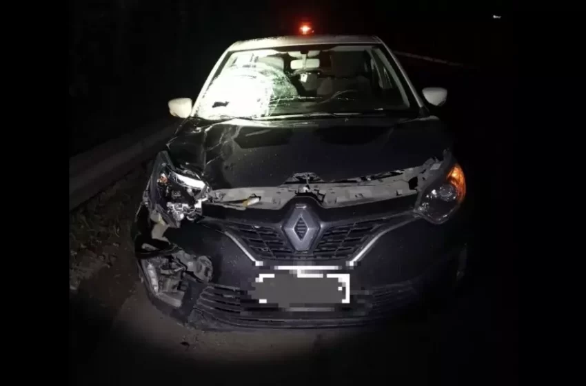  Mulher é atropelada e morre na BR-470