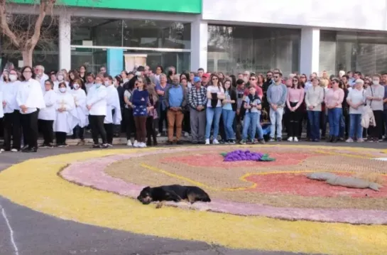  FOTO: Cachorro cochila sobre tapete de corpus christi