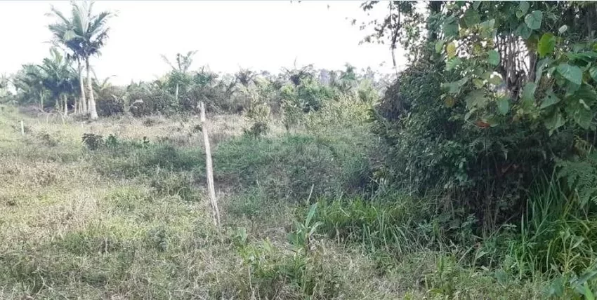  Crianças encontraram corpo de homem enquanto brincavam