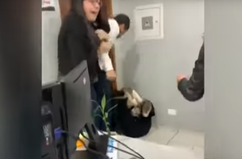  SOCOS E PONTAPÉS: Procuradora é agredida por colega de trabalho