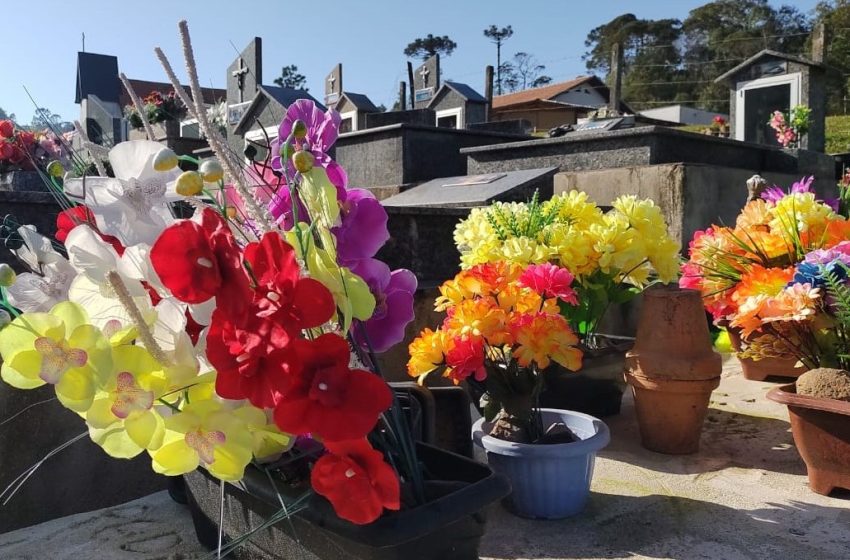  PRACABA: Estão roubando flores nos Cemitérios