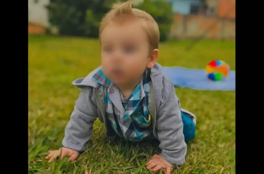  Família materna de mulher assassinada com bebê em Blumenau consegue guarda de criança mais velha