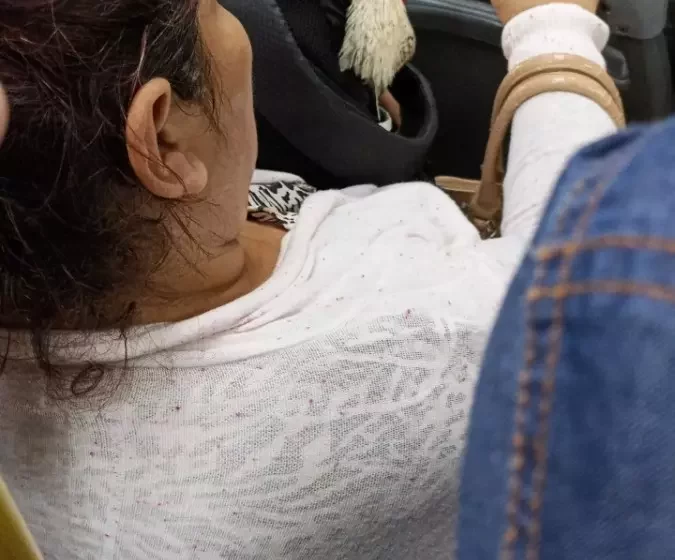  Galo é flagrado andando de ônibus no colo de passageira em Blumenau