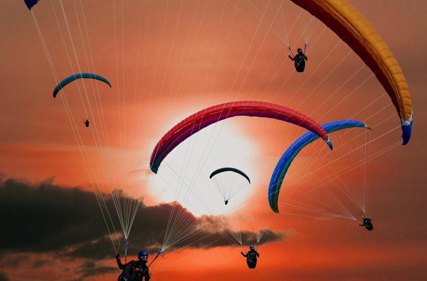  Naturalfest: o maior evento de natureza da região Sul