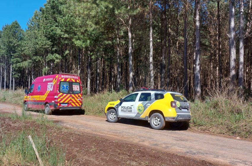  Homem morreu atingido por árvore na manhã desta sexta (19)