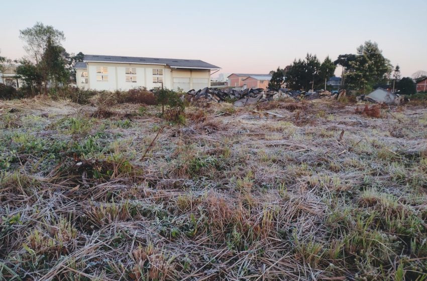  Sábado de geada e frio no Planalto Norte catarinense