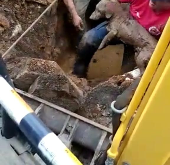  Após 4 horas de trabalho Bombeiros resgatam cão preso em tubulação de esgoto