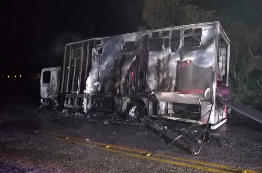  Cavalos crioulos que morreram carbonizados eram de ex-BBB Rio-negrinhense.