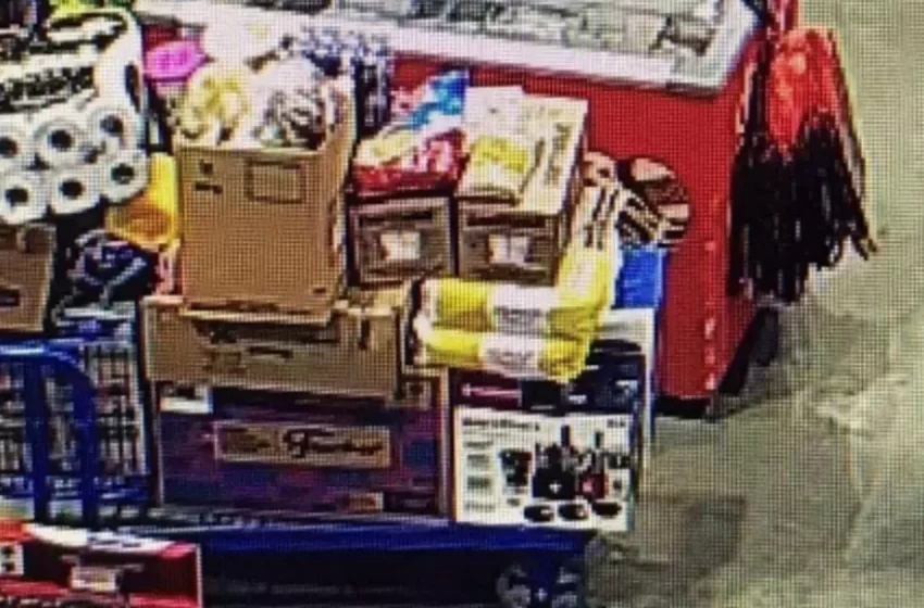  Mulher é presa após tentar furtar mais de R$ 2,6 mil em compras