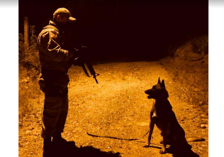  Perseguição e captura de suspeito de Roubo de carro; cão ajudou na localização