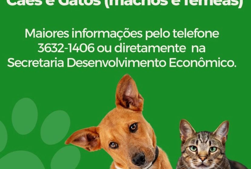  Inscrições abertas para castração de animais