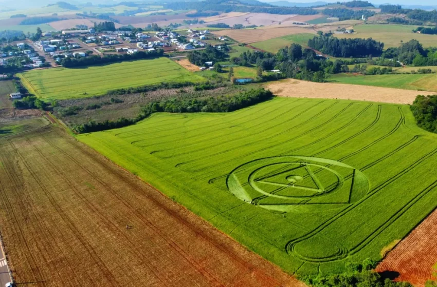  Agroglifo: marcas ‘misteriosas’ serão mantidas por mais 10 dias diz dono de terras