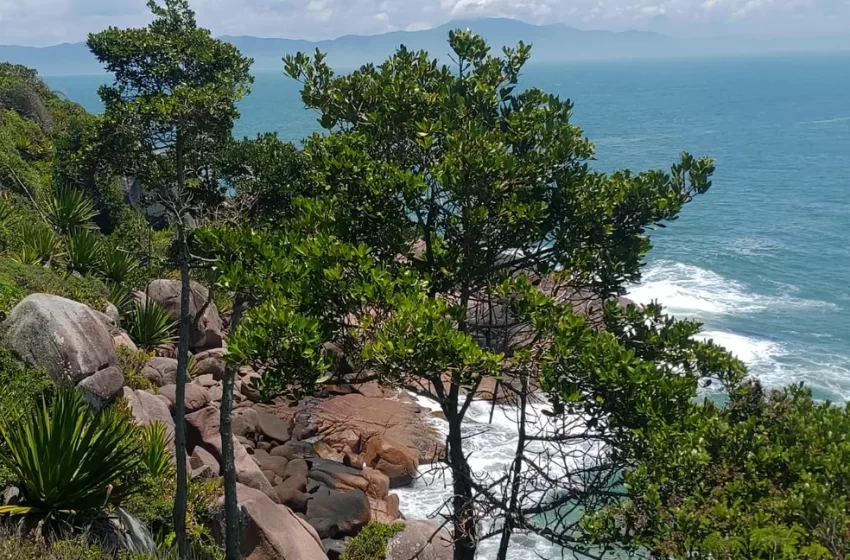  Caminho de Santiago de Compostela é oficializado em Florianópolis; entenda