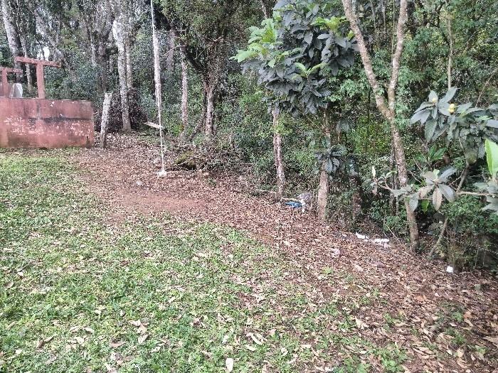  Feto humano foi encontrado por crianças jogado em área de mata