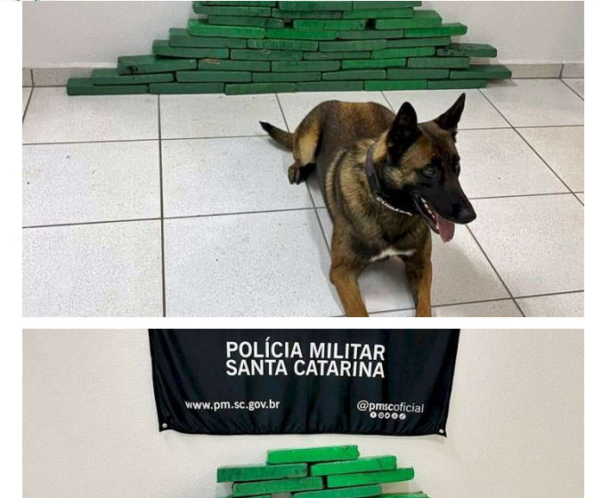  Mais de 36 kg de drogas são apreendidos em São Bento do Sul