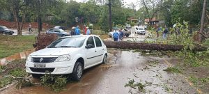  Temporal causa transtornos e muito prejuízo