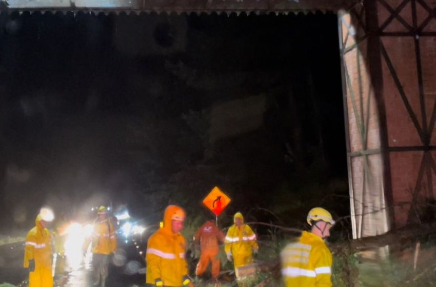  Árvore cai sobre portal da cidade de Campo Alegre