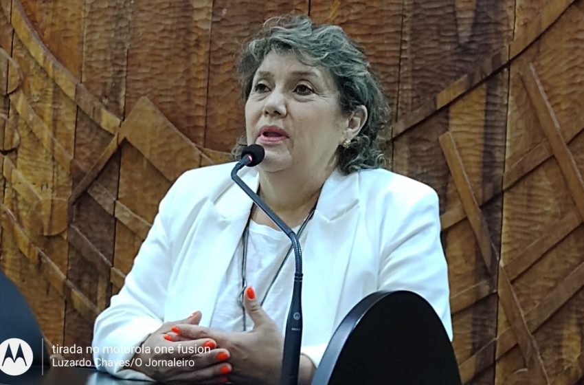  Câmara elege Zuleica para presidir a Casa