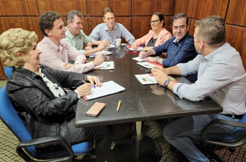  POLÍTICA: Tamanini…Câmara…Tirso…Eleições…MDB