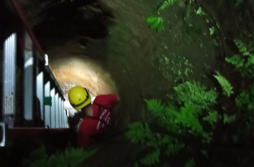  Porco de 200 quilos resgatado após cair em poço