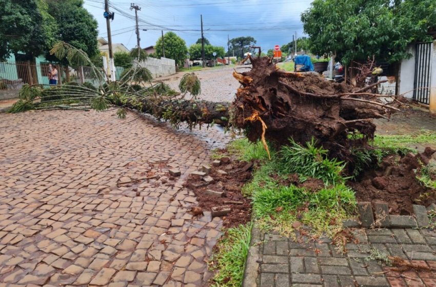  Tempestade atinge municípios do Oeste de SC e deixa estragos