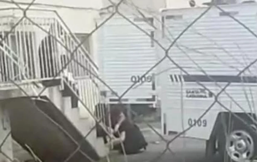  Neta mata avó e coloca corpo dentro de mala
