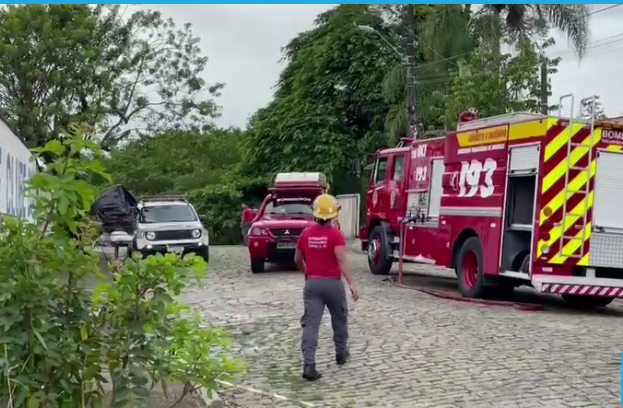  Mulher é encontrada morta em área de mangue em Joinville