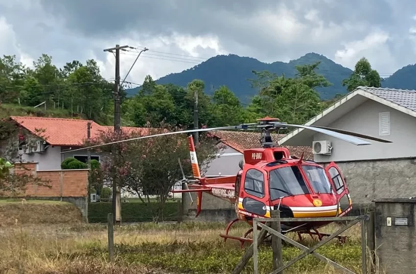  Idoso é atacado por abelhas e sofre choque anafilático