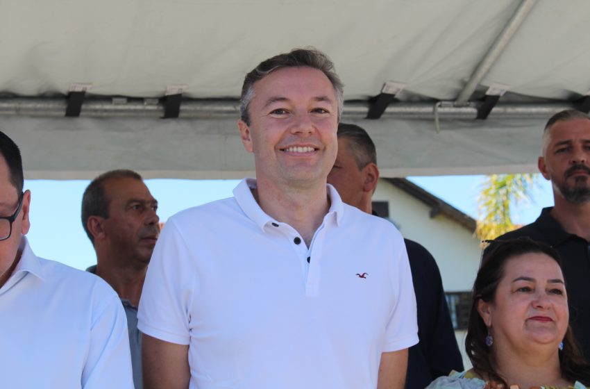  POLÍTICA: Ovelha…Napoleão…Zuleica…Magrão