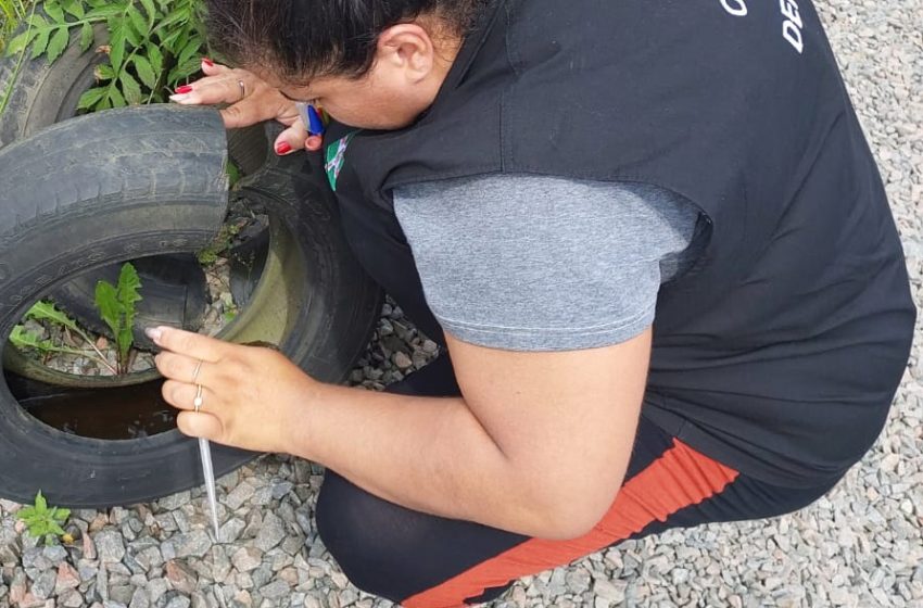  Saúde vai emitir boletim semanal sobre a dengue