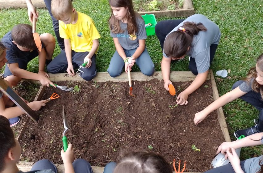  Projeto Hortas Comunitárias ensina hábitos saudáveis a crianças e jovens
