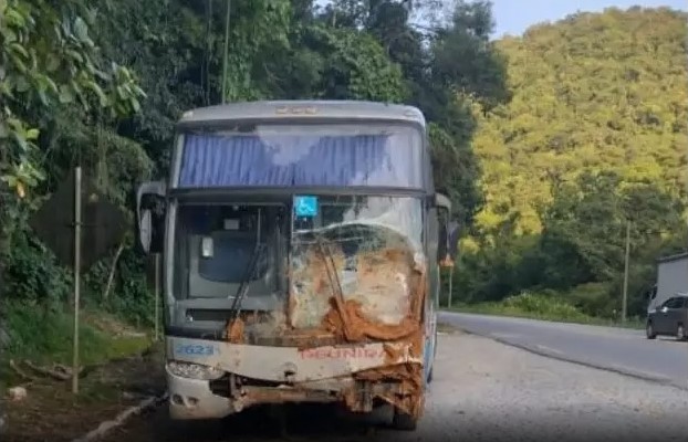  SC-418: Acidente com ônibus na Rodovia
