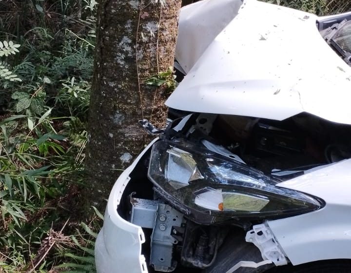  Carro dirigido por idoso saí da pista e colide em árvore