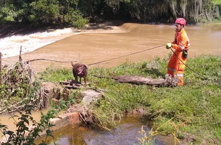  Corpo de 2º trabalhador desaparecido após queda em cachoeira é localizado