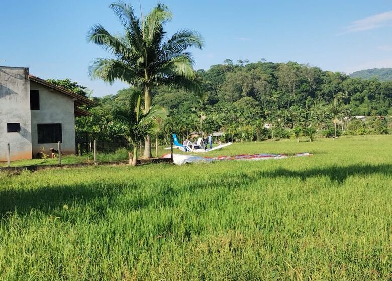  Avião com 5 pessoas cai em campo de arroz em Massaranduba